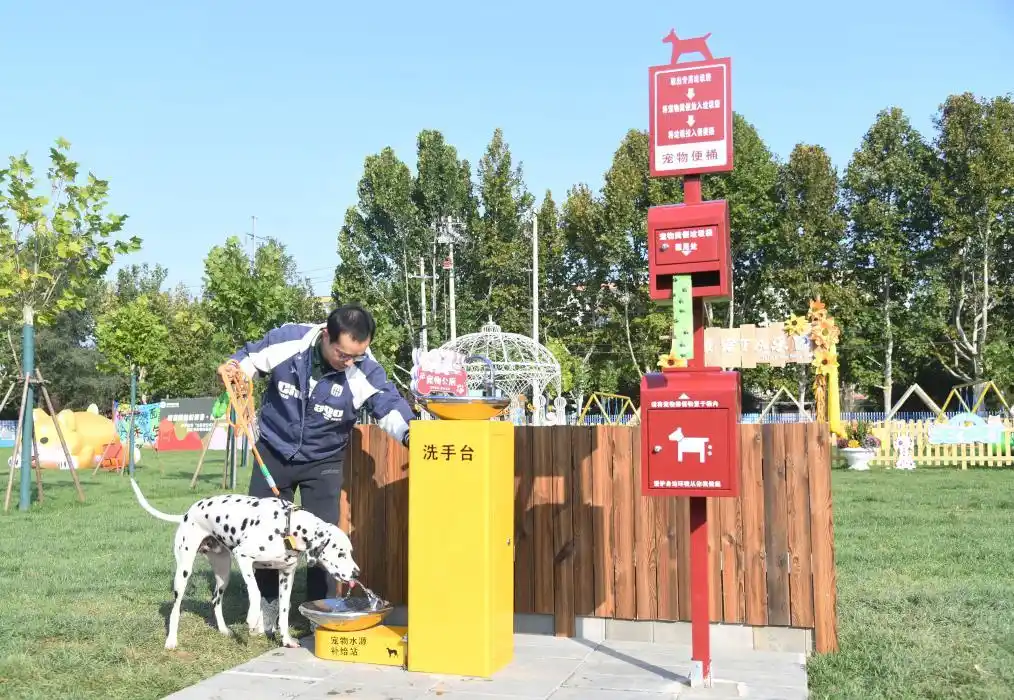 Artificial Intelligence Helps China's Pet Economy