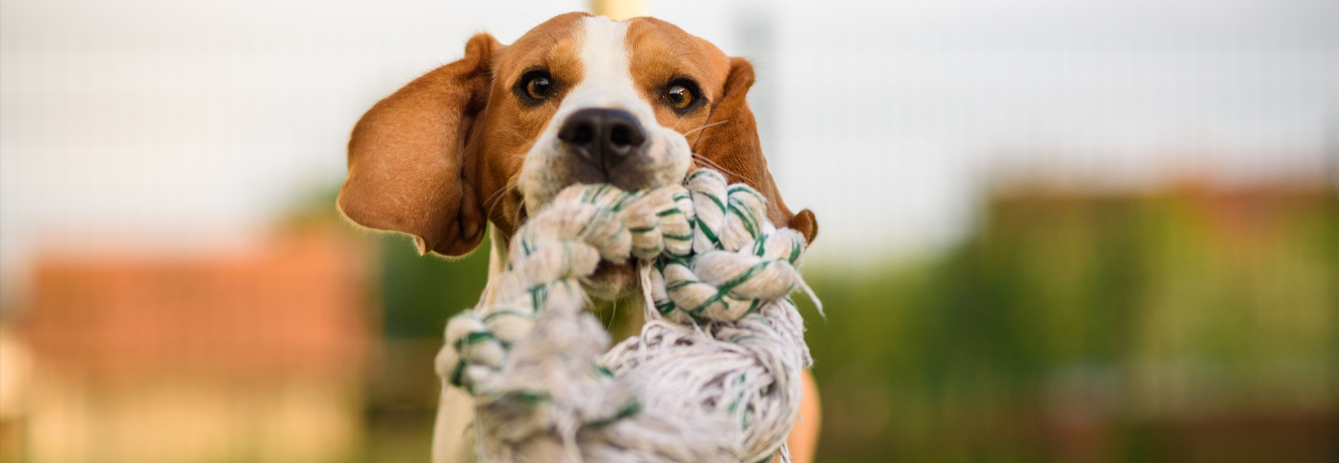 有Anray，就安心