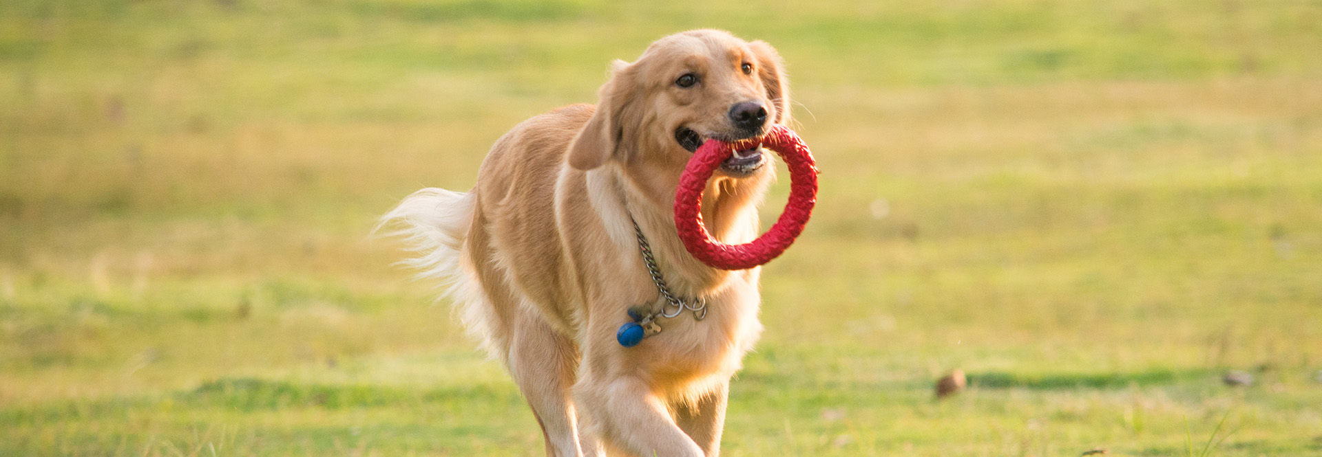 有Anray，就安心