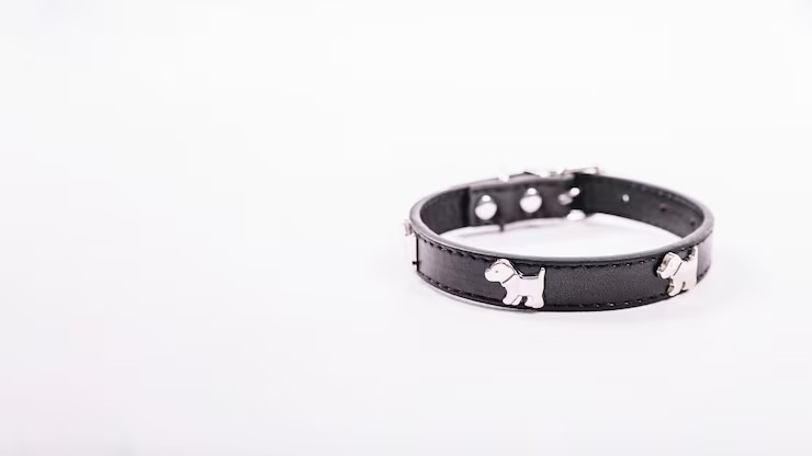 Pet Collars
