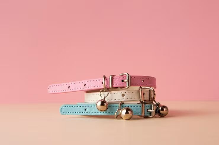 Pet Collars
